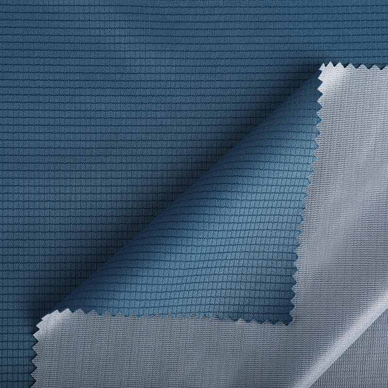 Polyesrter Stripe Lnterlock Coatted  25P028-G3